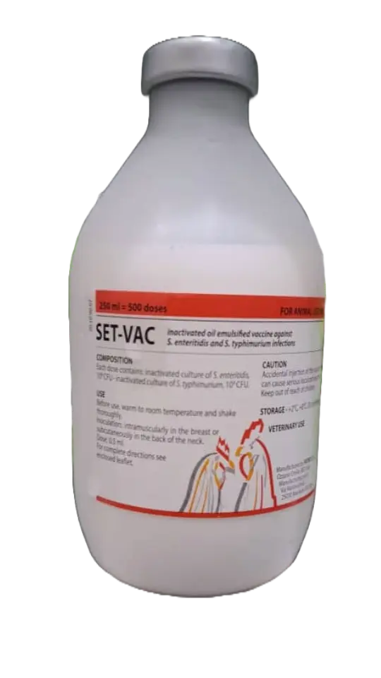 TYPHOID 500DOSES