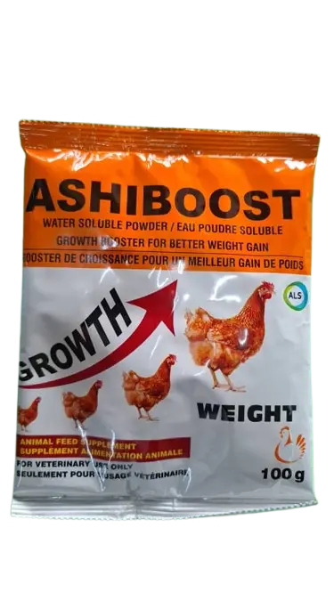 ASHIBOOST 100G