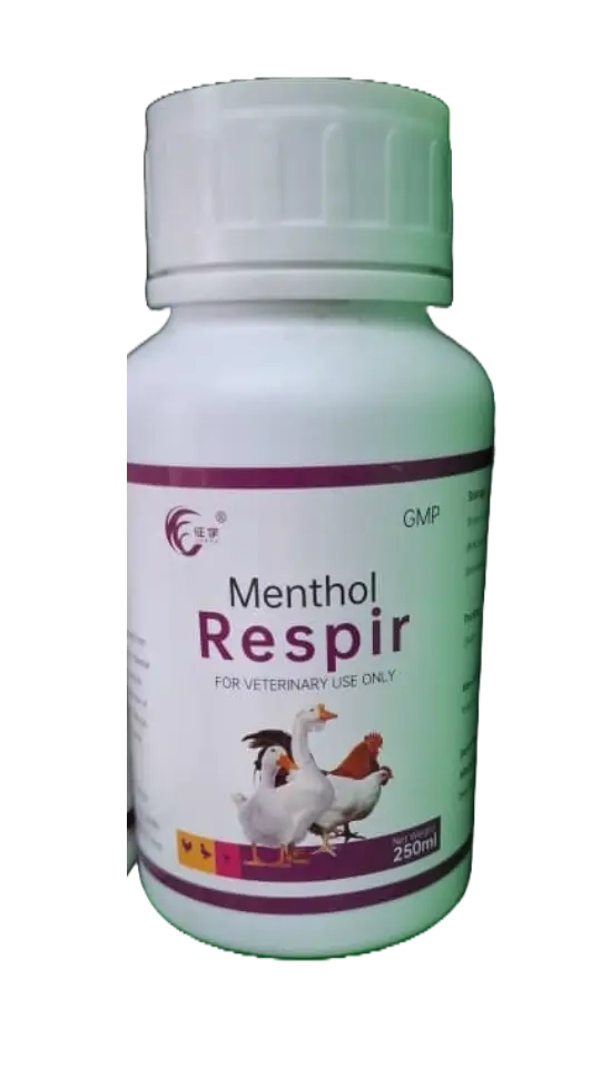 MENTHOL RESPIRE 250ML