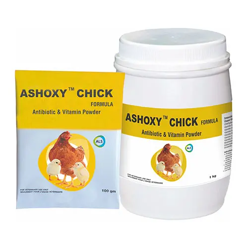 ASHOXY CHICK 100g
