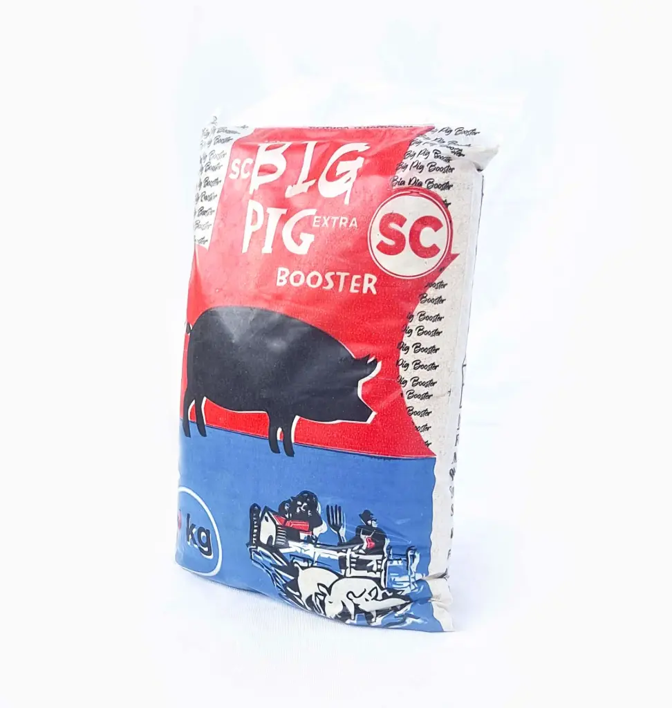 BIG PIG